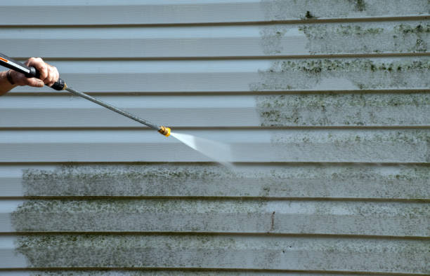 Best Residential Pressure Washing Services  in Mackinaw, IL