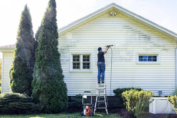 Best Exterior Home Cleaning  in Mackinaw, IL