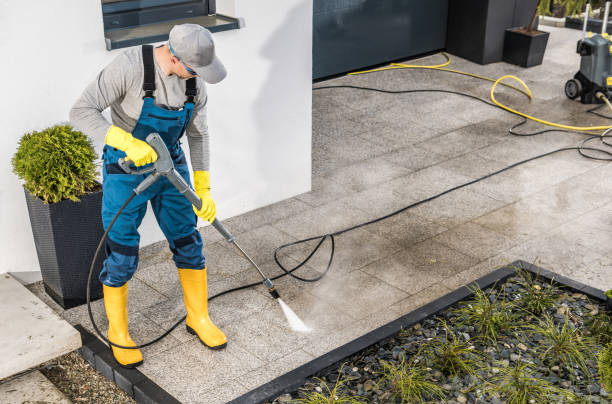 Best Deck Cleaning Services  in Mackinaw, IL
